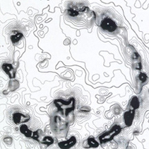 Archaeological Mapping