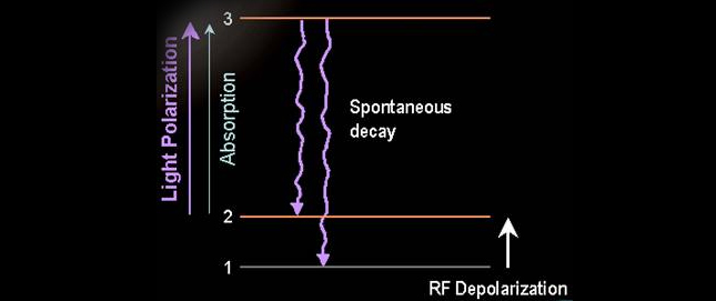 Quantum mechanics of alkali vapour system